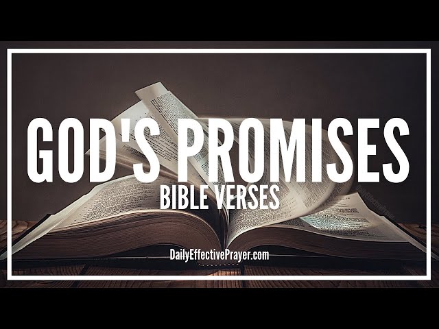 Bible Verses On God's Promises | Scriptures For God's Promises (Audio Bible)