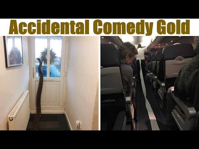 Photos That Show Life Has A Funny Way Of Outshining Even The Best Sitcoms