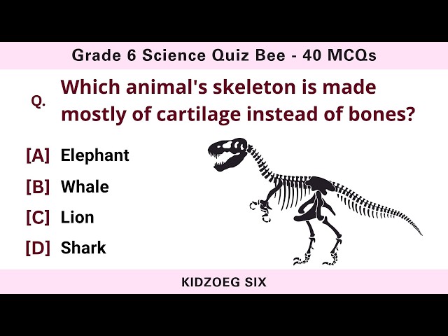 Grade 6 Science Quiz Bee | 40 MCQs with Answers | General Science Quiz for Kids | Educational Video