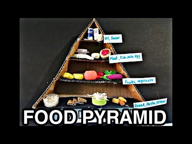 Food Pyramid Science Project 3D Model | School Exhibition Model | Food Pyramid Model | Balanced Diet