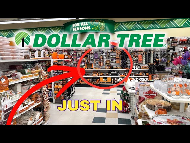 SHOP NEW Dollar Tree FINDS