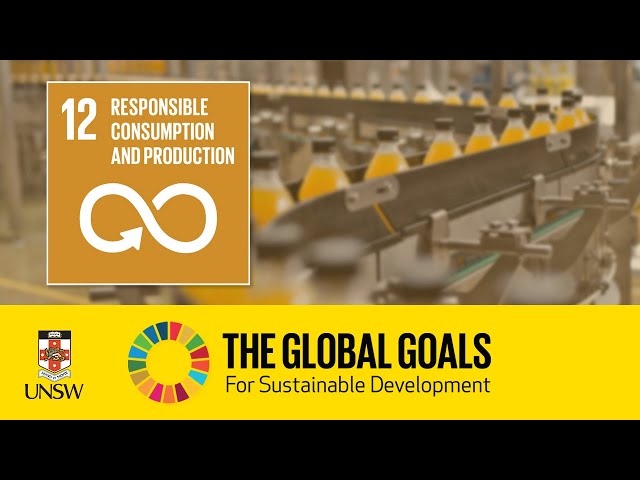 Sustainable Development Goal 12 - Responsible Consumption and Production - Sami Kara