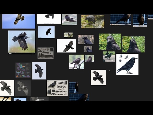 Bird Sculpting in Blender 