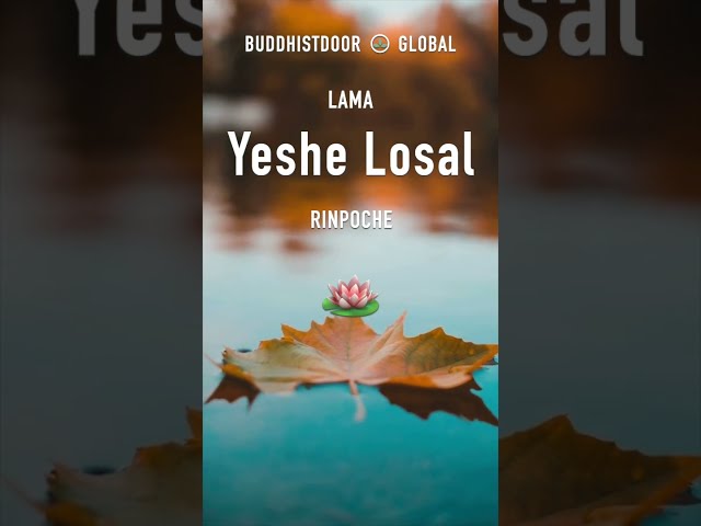 🪷 Buddhistdoor Quote for Today: Lama Yeshe Losal Rinpoche 🪷