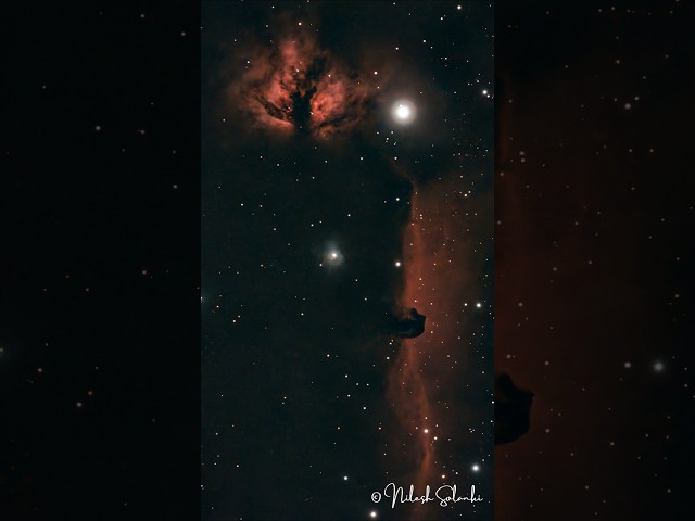 What is hiding in Orion's Belt? #shorts #seestar #space #deepsky