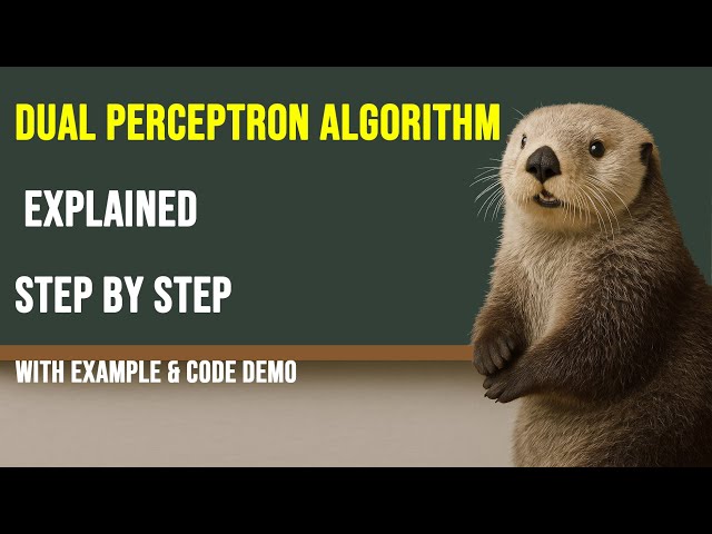 Dual Perceptron Algorithm Explained Step by Step With Example & Code Demo
