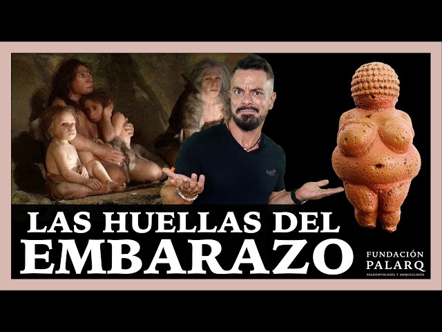 How can ARCHAEOLOGY study PREGNANCY?