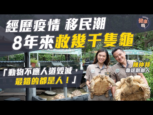 鐵漢柔情！健身教練花過萬養龜 拯救數千隻動物｜龜途創辦人陳仲邦：動物不應被人道毀滅，最錯的都是人！｜寵物經濟 移民棄養｜健康嗎‪@HealthCodeHK‬【醫檔案】#棄養