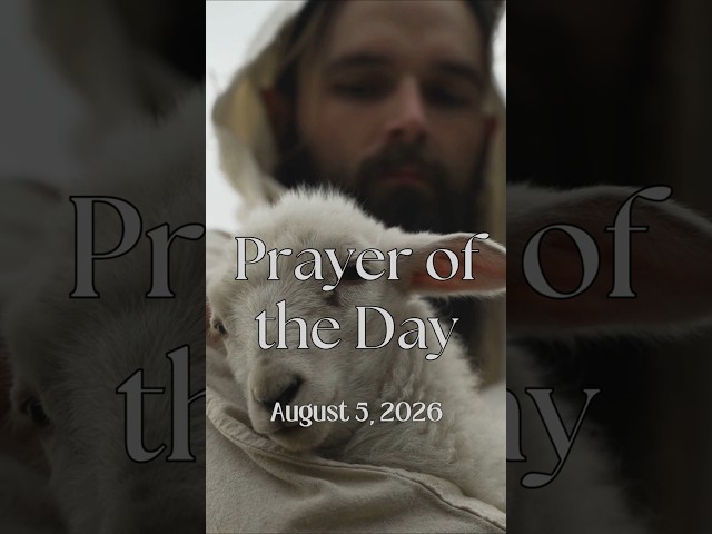 Prayer of the Day | August 5, 2026 #prayer #dailyprayer #jesuslovesyou