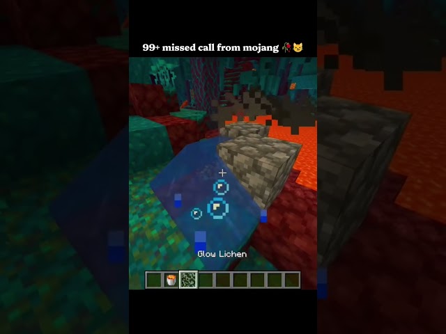 99+ missed call from mojang 😼🥀 #minecraft #gaming #shorts #glitch