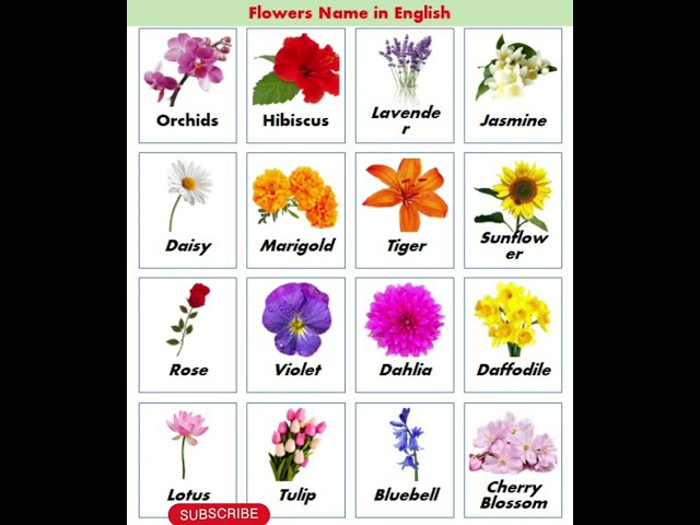 Flowers Name in English