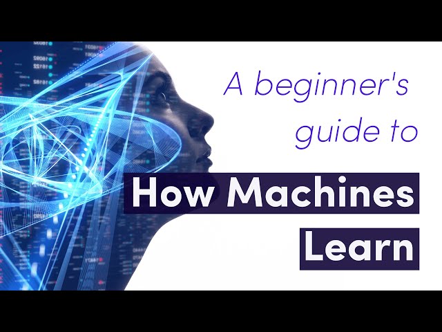 A Beginner’s Guide to How Machines Learn