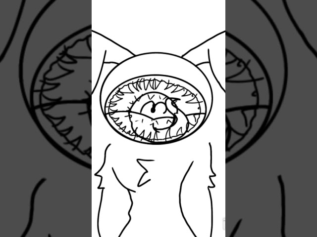 Working on an animation for animal hospital