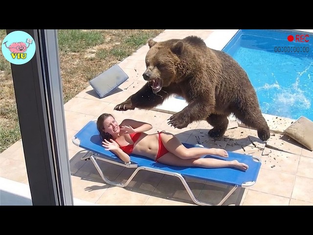 220 MOST TERRIFYING ANIMAL ATTACKS Ever Caught on Camera | Wild Animals Invading People’s Homes P26