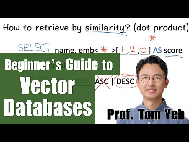 Beginner's Guide to Vector Databases