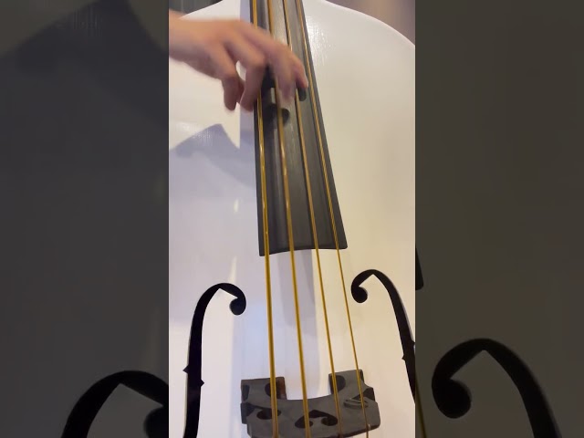 [Double Bass] [sound check] 測試合成牛筋弦