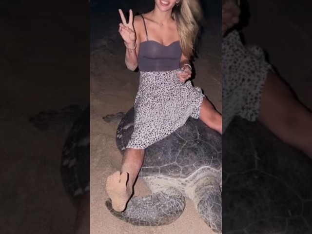 Influencer Abuses Turtle For Views