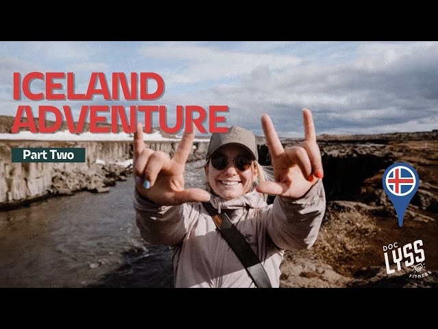 DOC LYSS TAKES ON ICELAND || Goðafoss Waterfall, Puffins, Blue Lagoon, and MORE || Part 2