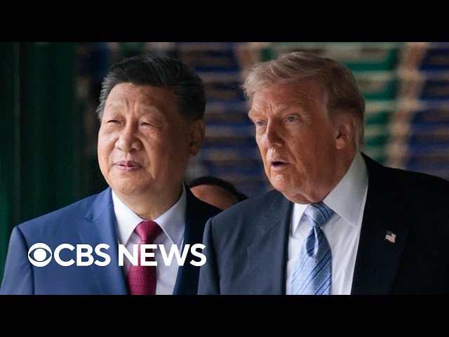 Tech company “self-regulation is joke” but Trump could win by leading on AI regulation, expert says