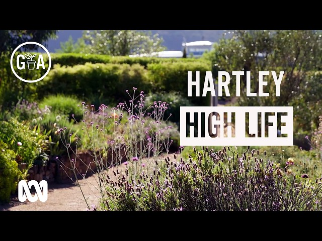 Hartley High Life | Garden Design | Gardening Australia