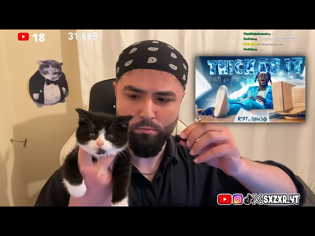 My cat reacts to KSI's new song "Thick Of It"