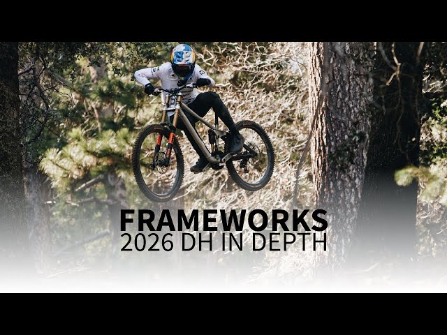 2026 DH Frame In Depth
