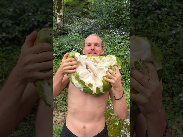 Top 5 Fruits (Costa Rica Edition)