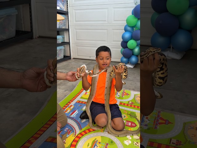 Reptile Birthday Surprise 🐍 🎁🎈  #shorts #shortvideo #kids