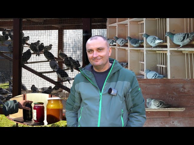 Chanek & Stasiak - 0196 Dobczyce - Stadniki | Season 2025 & moulting!