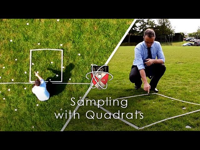 Sampling with Quadrats - GCSE Biology Required Practical
