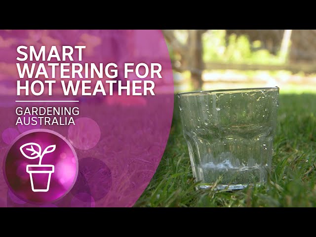 Smart watering to reduce air temperature