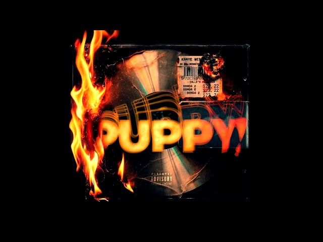 Java Steam 2026 - Puppyislive