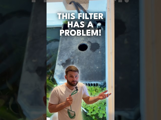 Juwel Rio 240 Filters Downside - Part 2