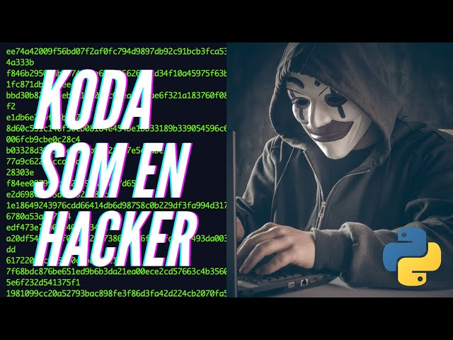 Python - Koda som en hacker