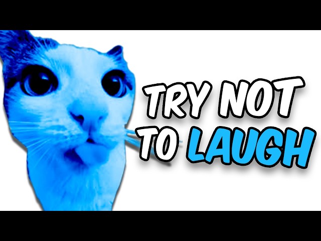 Try Not To Laugh #2!!! (NASHIRANKS EDITION)