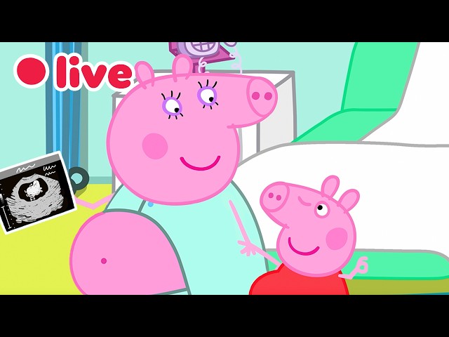 🔴 LIVE: Cutest Baby Evie Episodes 🍼 Peppa Pig Best Big Sister Moments✨Kids Cartoons 🐷 FULL Episodes