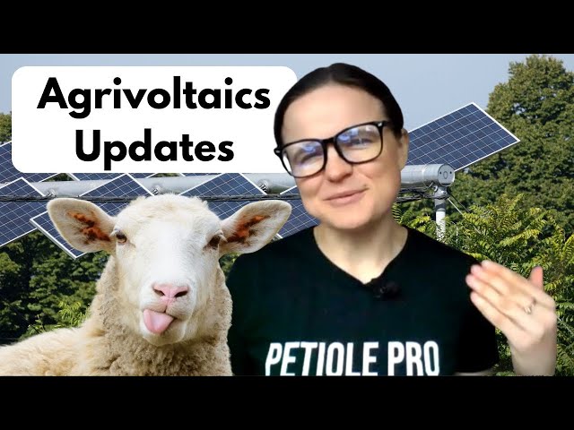 Agrivoltaics Update 2025