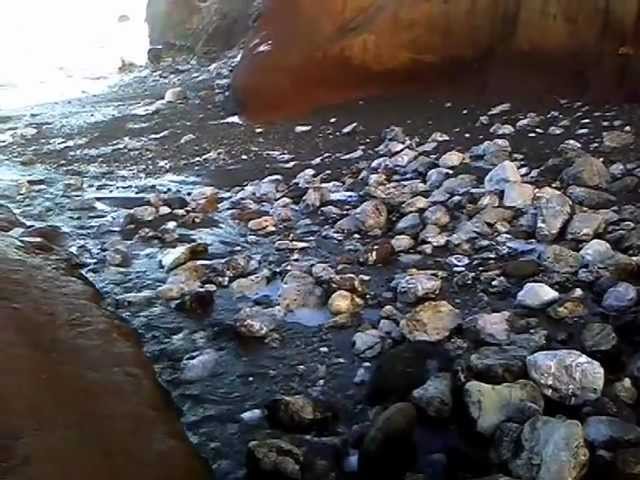 Field trip video 1