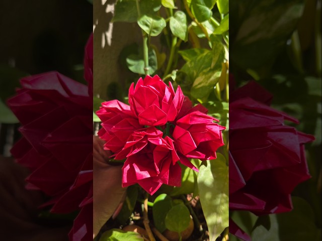 DIY Paper Roses 🌹 | How to Make Beautiful Paper Flowers | Easy Paper Flower Craft