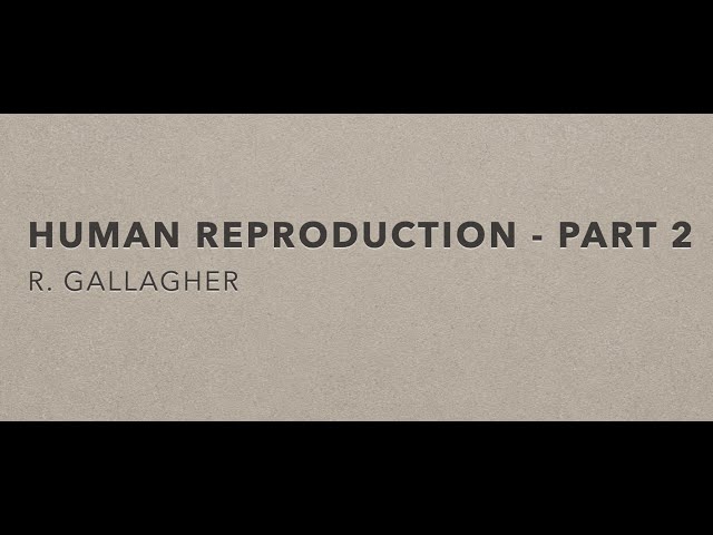 Human Reproduction part 2