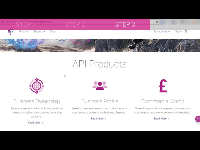 API Developer Portal - how to make a sandbox API call