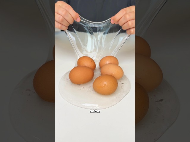 Adding EGGS In Slime 🥚