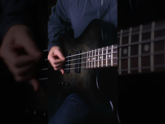 LTD Phoenix-204DX Bass | Demo | ESP Guitars