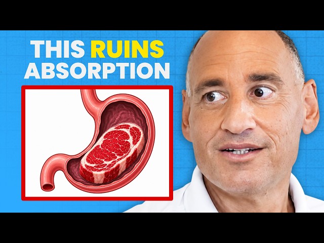 Meat Is Medicine — But Are You Actually Absorbing It?