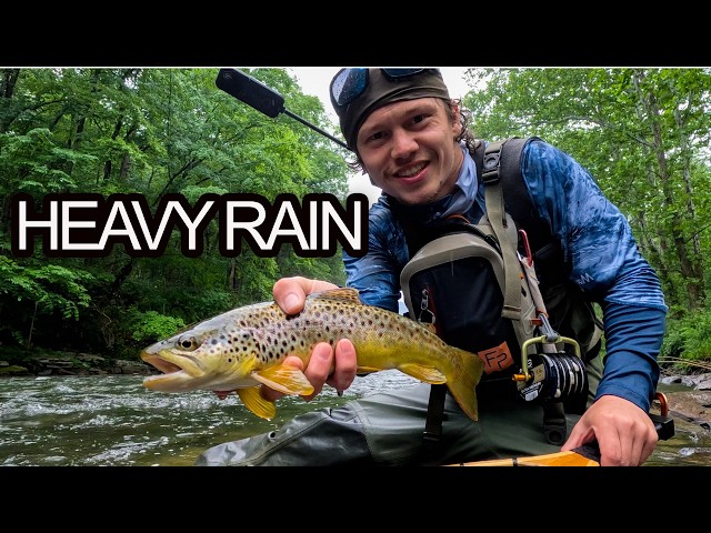 Heavy Rain Changed Everything... (Central PA Wild Browns)
