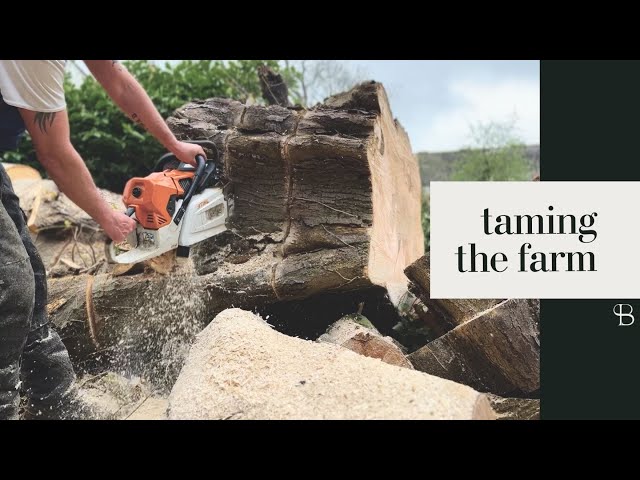 Mini Mega Projects & Future Planning