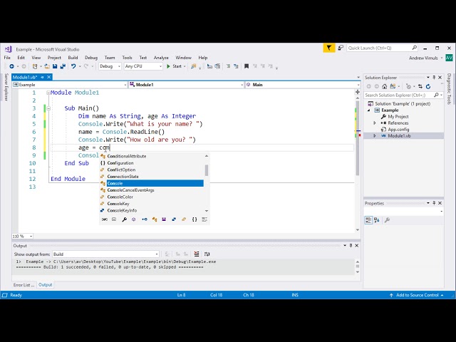Visual Basic - Input and Output with a Console Application