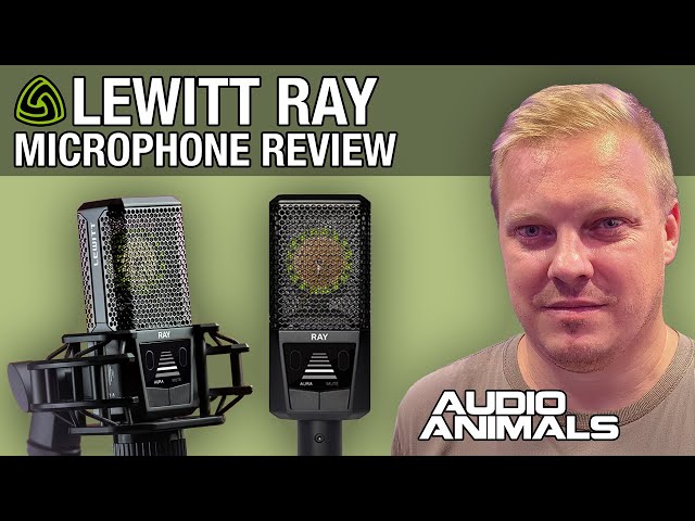 Lewitt Ray Microphone Review