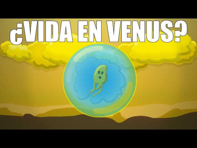 ¿Hay vida en Venus?