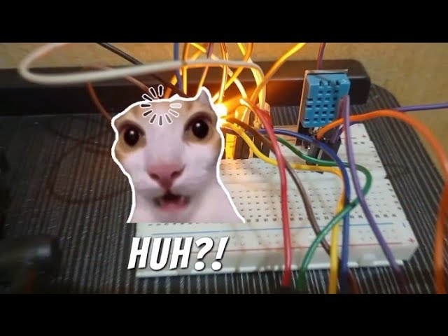 Mini Project Running LED with DHT11